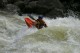 Thumbs/tn_Img_6355.jpg