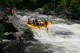 Thumbs/tn_Img_0238.jpg