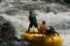 Thumbs/tn_Img_0263.jpg