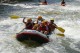 Thumbs/tn_Img_0313.jpg