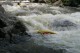 Thumbs/tn_Img_0355.jpg