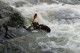 Thumbs/tn_Img_0363.jpg