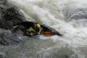 Thumbs/tn_Img_0365.jpg