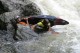 Thumbs/tn_Img_0367.jpg