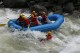 Thumbs/tn_Img_0369.jpg
