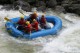 Thumbs/tn_Img_0370.jpg