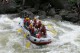 Thumbs/tn_Img_0384.jpg