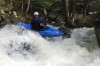Thumbs/tn_Img_8043.jpg