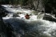 Thumbs/tn_Img_7291.jpg