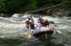 Thumbs/tn_Img_5936.jpg