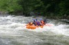 Thumbs/tn_Img_5984.jpg