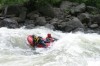 Thumbs/tn_Img_6685.jpg