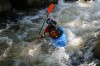 Thumbs/tn_Img_3736.jpg