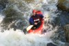 Thumbs/tn_Img_3797.jpg