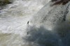Thumbs/tn_Img_2333.jpg