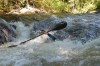 Thumbs/tn_Img_2361.jpg