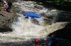 Thumbs/tn_Img_2531.jpg