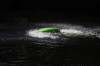 Thumbs/tn_Img_0627.jpg