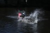 Thumbs/tn_Img_0819.jpg