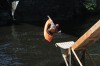 Thumbs/tn_Img_0862.jpg