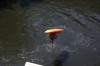 Thumbs/tn_Img_0919.jpg
