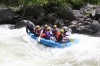 Thumbs/tn_Img_4062.jpg