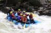 Thumbs/tn_Img_4078.jpg