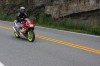 Thumbs/tn_Img_6973.jpg