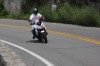 Thumbs/tn_Img_7021.jpg