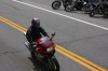 Thumbs/tn_Img_7158.jpg