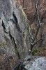 Thumbs/tn_Img_1928t.jpg