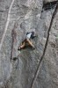 Thumbs/tn_Img_1932t.jpg