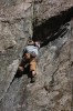 Thumbs/tn_Img_1936t.jpg