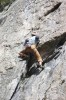 Thumbs/tn_Img_1940t.jpg
