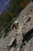Thumbs/tn_Img_1942t.jpg