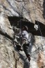 Thumbs/tn_Img_1965t.jpg