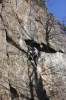 Thumbs/tn_Img_1966t.jpg