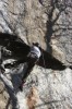 Thumbs/tn_Img_1970t.jpg