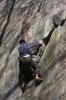 Thumbs/tn_Img_1982t.jpg