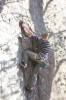 Thumbs/tn_Img_1995t.jpg