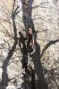 Thumbs/tn_Img_2000t.jpg