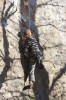 Thumbs/tn_Img_2001t.jpg
