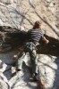 Thumbs/tn_Img_2011t.jpg