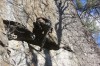 Thumbs/tn_Img_2023.jpg