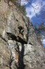 Thumbs/tn_Img_2029t.jpg