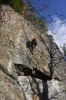 Thumbs/tn_Img_2036t.jpg