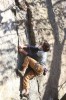 Thumbs/tn_Img_2052t.jpg