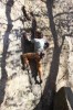 Thumbs/tn_Img_2055t.jpg