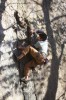 Thumbs/tn_Img_2056t.jpg