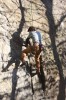 Thumbs/tn_Img_2061t.jpg